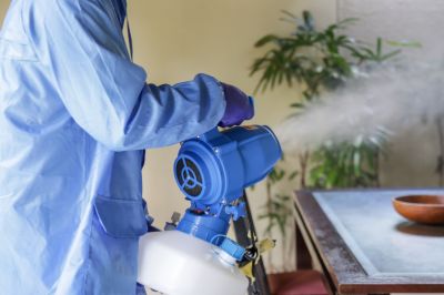 Commercial Fumigation in Phoenix, AZ