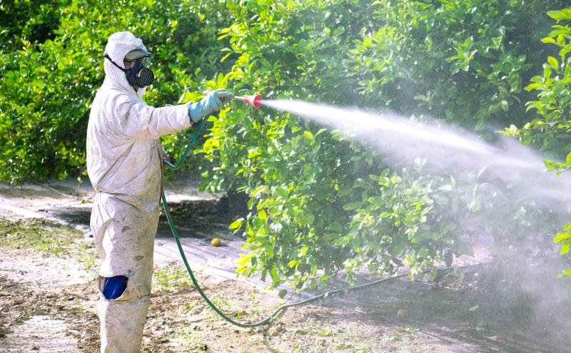 Fumigation Service in Fredericksburg, VA