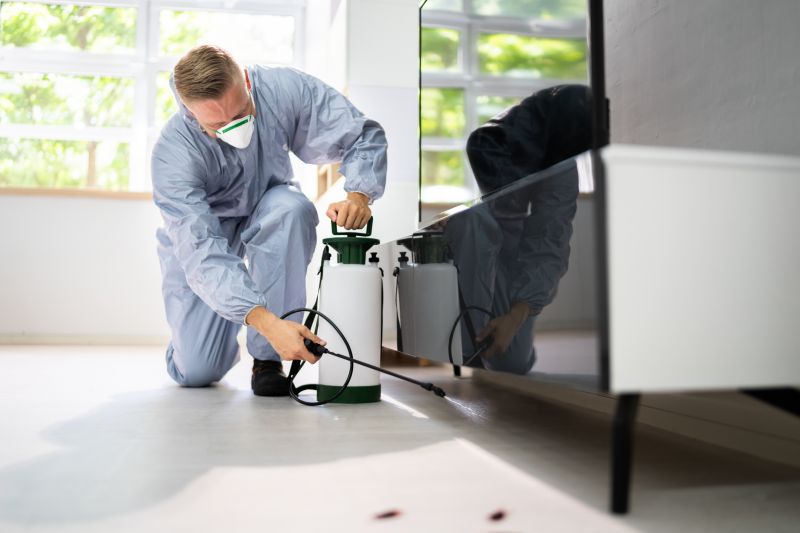 Pest Treatment Service in Katy, TX