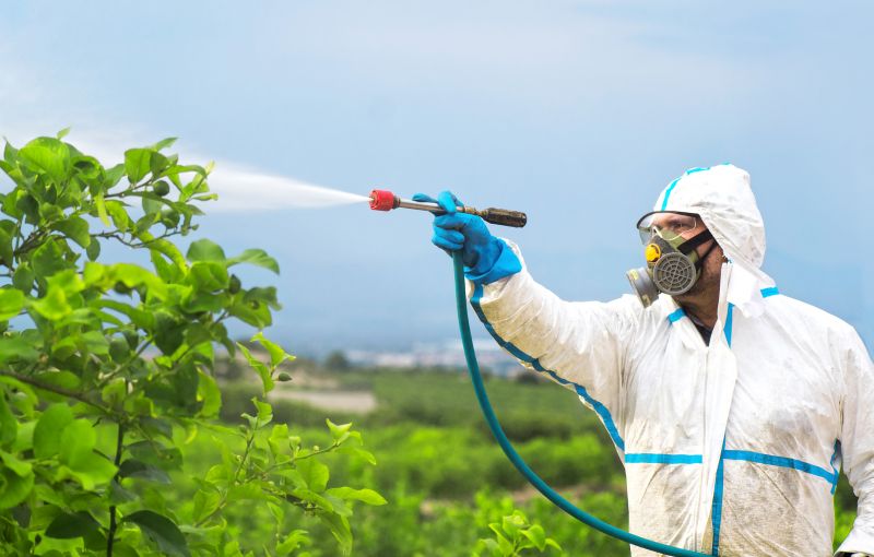 Rat Fumigation Service in Wilmington, DE