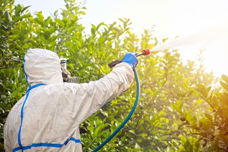 Commercial Fumigation in Asheville, NC