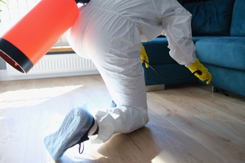Rat Fumigation Service in Fayetteville, NC
