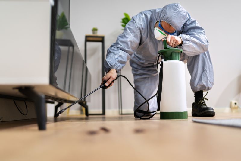 Rat Fumigation Service in Phoenix, AZ