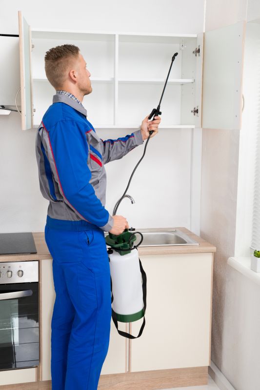 Silverfish Extermination in Arlington, TX