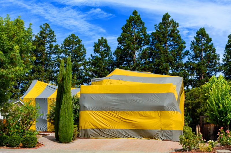 Termite Tenting in Cumming, GA